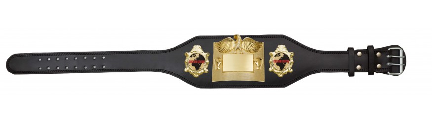 SMALL GOLD EAGLE CUSTOM CHAMPIONSHIP BELT PLT299/G/CUSTOM - AVAILABLE IN 4 COLOURS - BLACK, RED, BLUE, GREEN